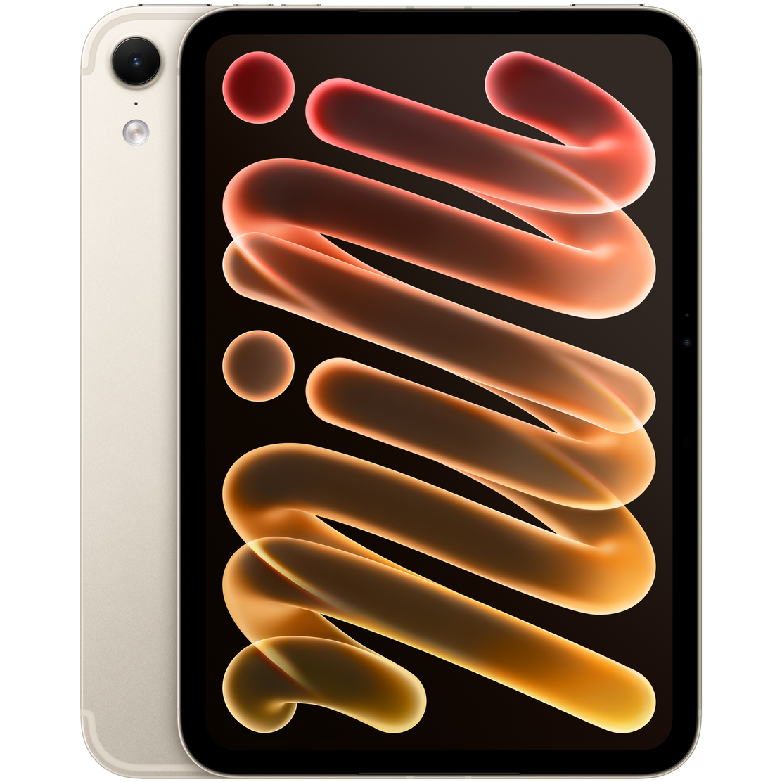 iPad mini 256GB Wi-Fi + Cellular Starlight